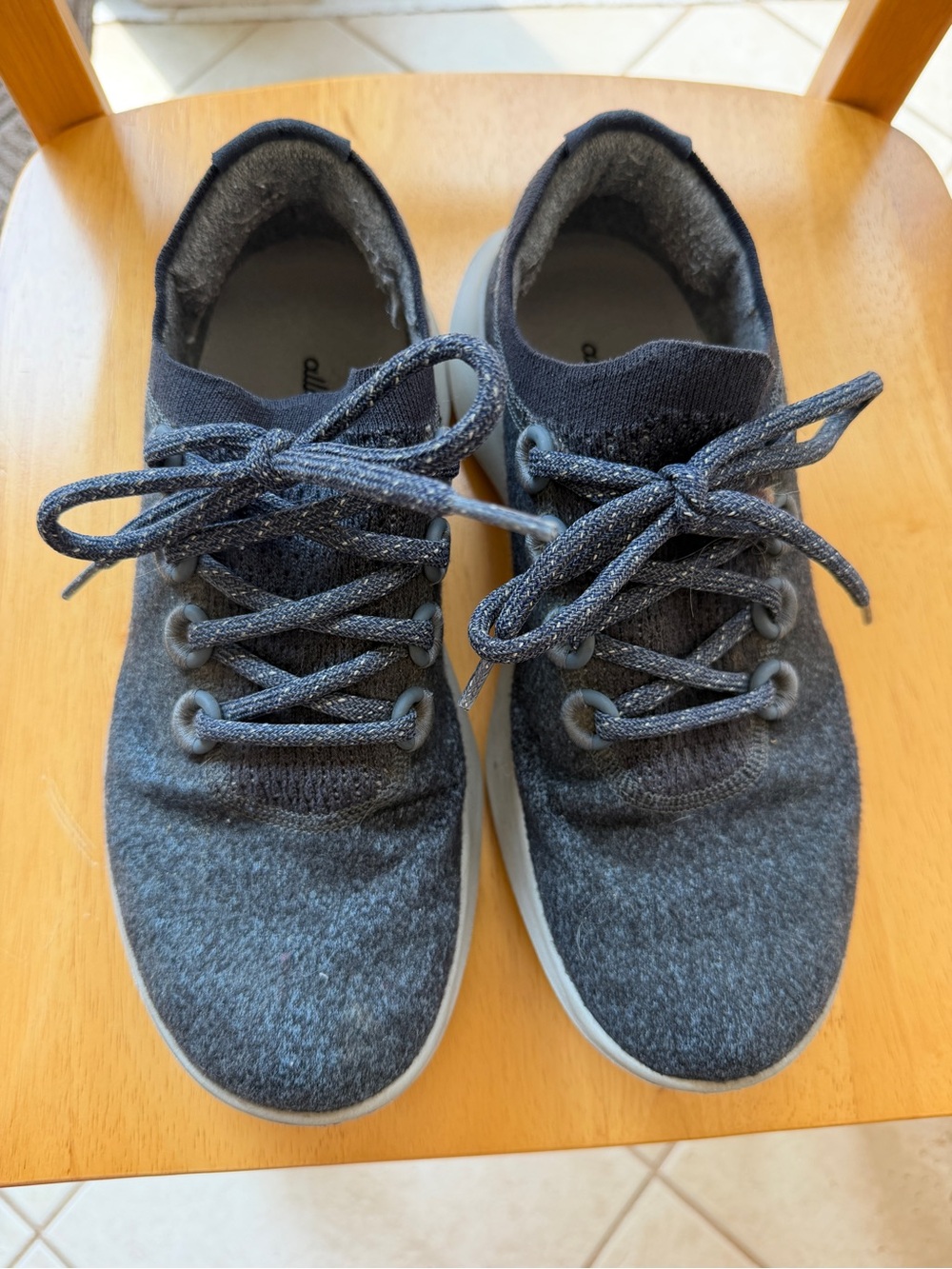 allbirds Wool Runner Mizzle